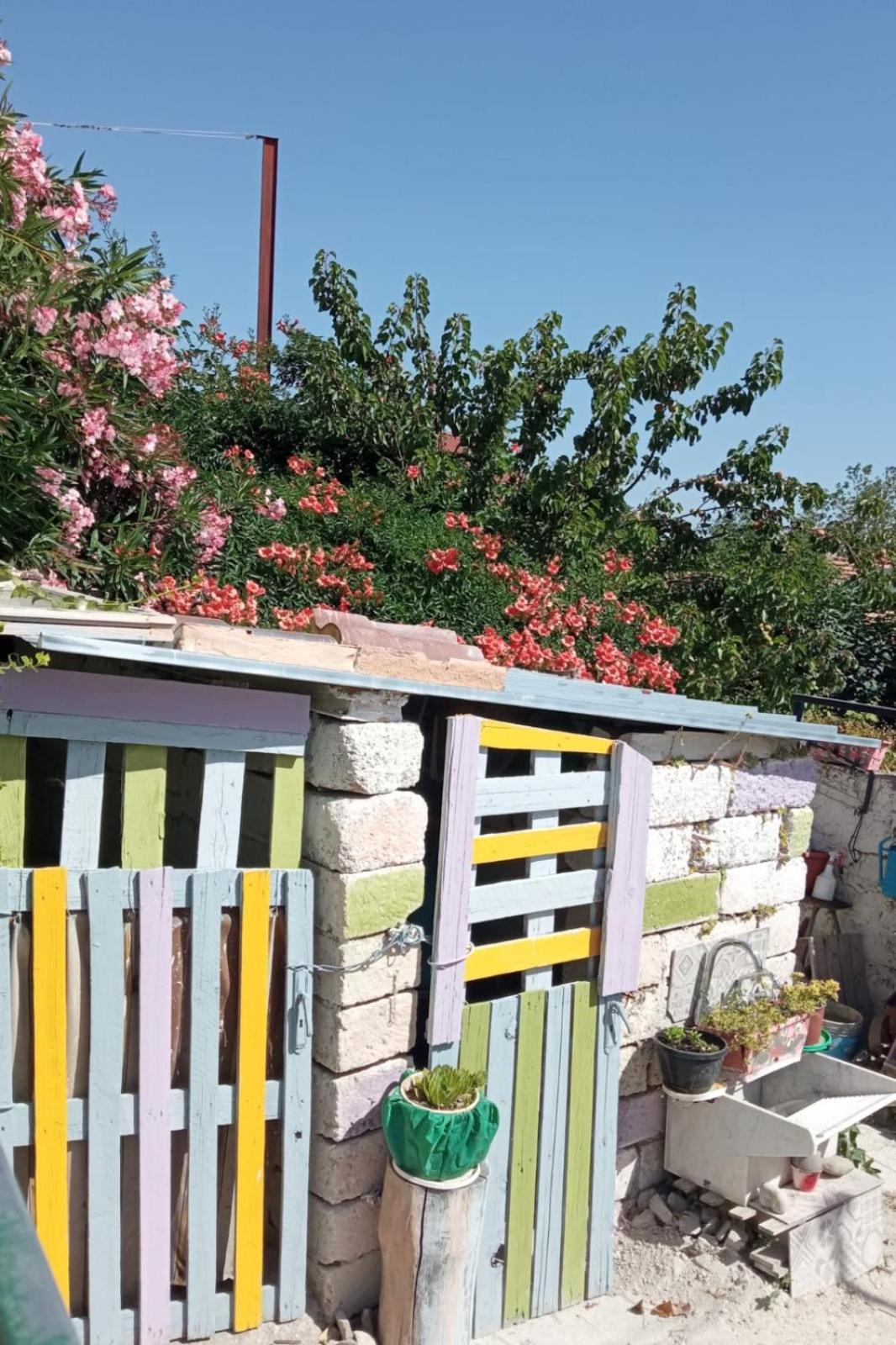 Ampia Casa Ecofriendly vista Borgo IO SONO QUI Tricarico Exterior foto